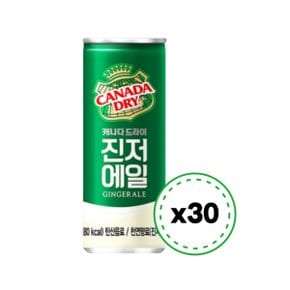 캐나다드라이 진저에일 250ml 30캔 코카콜라