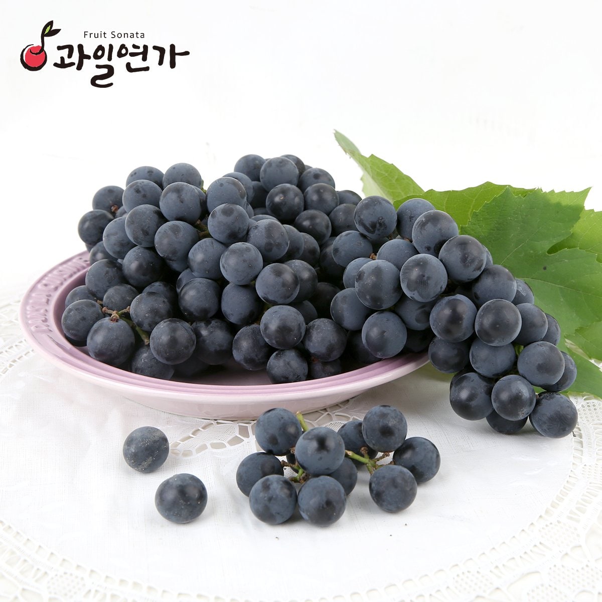 캠벨 포도 2kg(8~10송이) (국내산) - SSG.COM