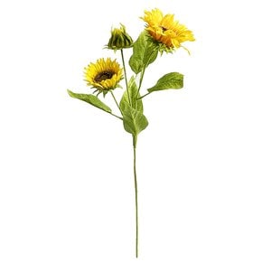 해바라기부쉬 70cm