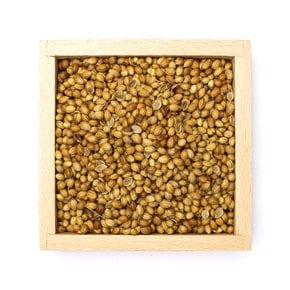 코리앤더 씨드 500g 고수씨