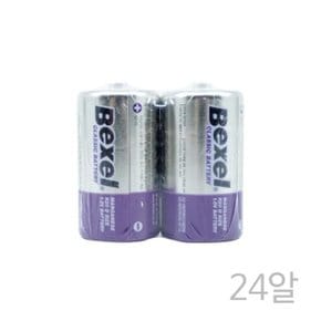 벡셀D(24알) R20 망간건전지 1.5V (WFD5F6B)