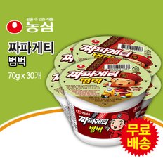 짜파게티범벅 1BOX (70gx30개) [컵라면]