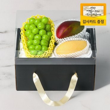 라라르떼 [산지직송] 쁘띠 4호 핸드캐리어 과일 선물세트 샤인1입 애망1입 골망1입 1.4kg (핸드캐리어형 박스)