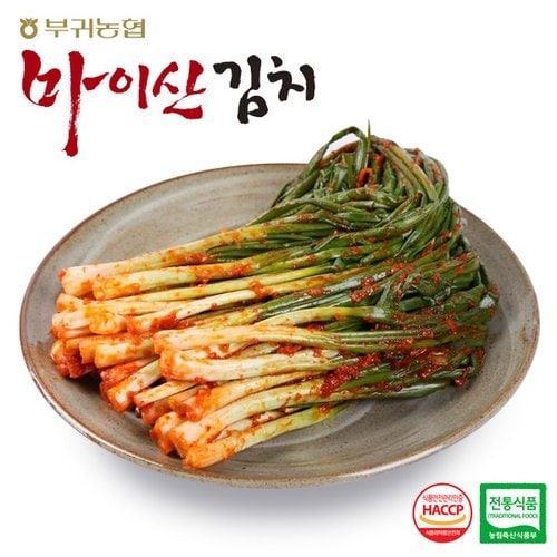 [한국농협김치] 전북 대표김치 마이산 파김치1kgx2팩(2kg)