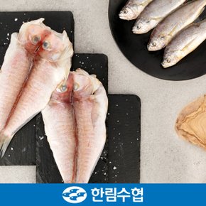 [명절 후 배송] [제주 한림수협] 제주 옥돔&굴비 혼합 선물세트 4호 (옥돔 180g x 3팩+굴비 400g(5미) x 3팩) / 부직포가방 포장_국내산_냉동비축품