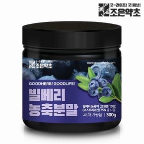 빌베리 농축 분말 가루 파우더 대용량 300g