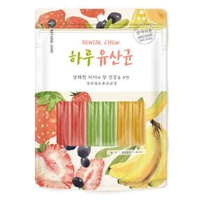 하루유산균 강아지 껌 혼합형 12p