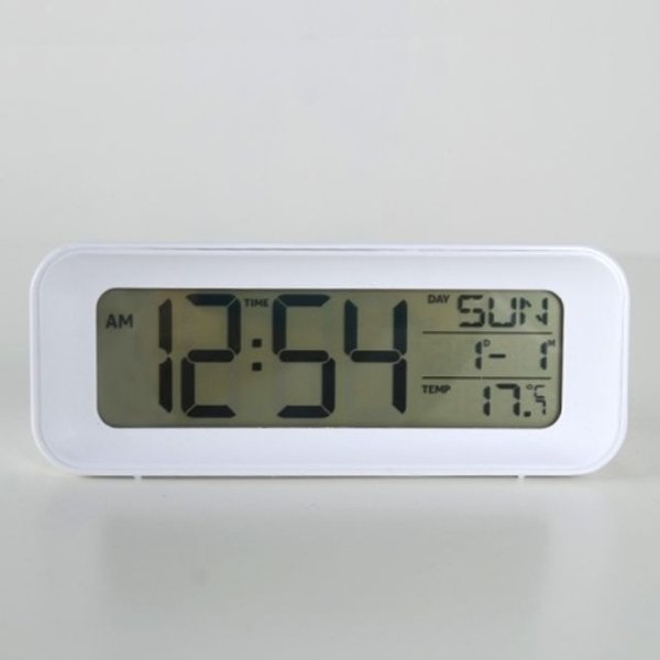 확대된 대표 image1