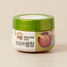 CJ 다담 양념듬뿍 쌈장 570g