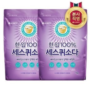 한.입 세스퀴 탄산소다 1KG x 2개