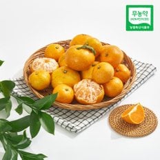 산지직송 무농약 친환경 제주 감귤 혼합과(2S-L) 10kg