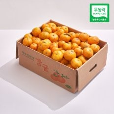 산지직송 무농약 친환경 제주 감귤 혼합과(2S-L) 10kg