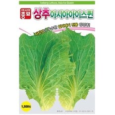  잎따내기 양상추씨앗 아이스퀸 1500립 상추 (WBD7FFC)