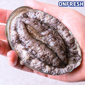 [G] 완도활전복 1kg 10-12미(마리당83g내외/10-12마리) [산소팩,무료배송]