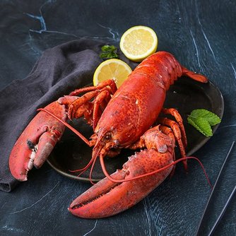 G마켓 - 랍스터테일 검색결과 검색결과 >랍스터테일, 이마트몰, 당신과 가장 가까운 이마트” style=”width:100%” title=”검색결과 >랍스터테일, 이마트몰, 당신과 가장 가까운 이마트”><figcaption>검색결과 >랍스터테일, 이마트몰, 당신과 가장 가까운 이마트</figcaption></figure>
<figure><img decoding=