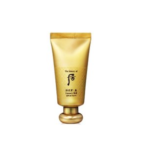 더 후 공진향 미 럭셔리 비비(SPF 20/PA++) 45ml