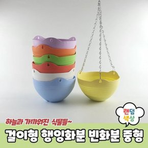 PARABU-735-A-걸이형 행잉화분 빈화분 중형_WBA1885