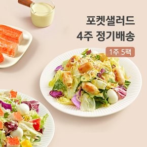 4주 정기배송 샐러드 주 5일 (샐러드는 역시 포켓샐러드)