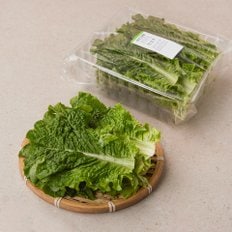  청상추 150g (17~28입)