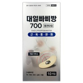 대일 빠삐방 700 10개입 자석패치