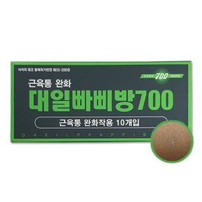 대일 빠삐방 700 10개입 자석패치