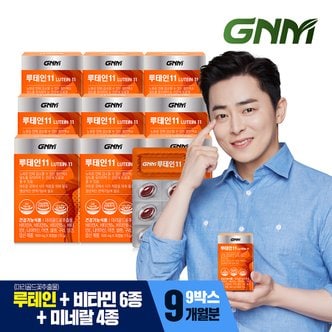 GNM자연의품격 루테인11 9박스 / 비타민 6종 + 미네랄 4종 눈건강 비타민B 아연 엽산