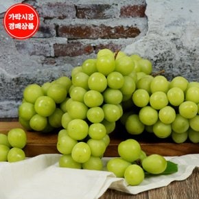 [가락시장 새벽 경매상품]특S급 샤인머스켓 3.5~4kg내외 4수(개당700g~900g)