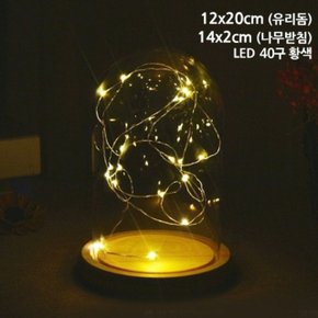 16호 LED 원목받침 타원유리돔 용기 (WE8C87E)