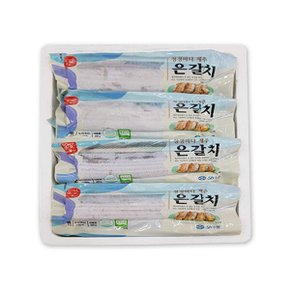 [수협직송] 제주 왕특大은갈치 손질갈치 550g x 4팩 (총2.2kg/12토막)