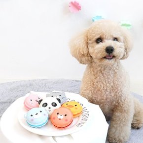 강아지스트레스해소 분리불안장난감 노즈워크 강아지장난감 애니멀 마카롱 라텍스토이