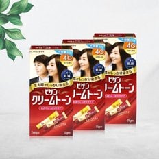 비겐크림톤 염색약 대용량 60g 염모제 자연밤색 4G x 3개