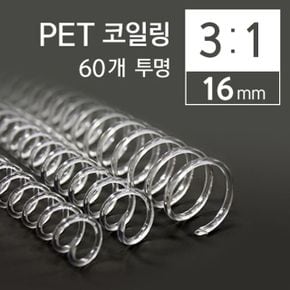 카피어랜드 3대1 PET 코일링 16mm 60개 투명