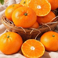 제주 감귤 5kg(S~M사이즈)