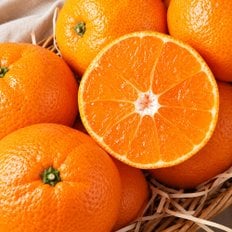 제주 감귤 5kg(S~M사이즈)