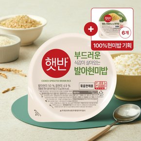 CJ 햇반 발아현미밥 210G*24+130G*6