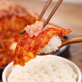 감칠맛이 가득 명란 소복 겉절이 500g /캔