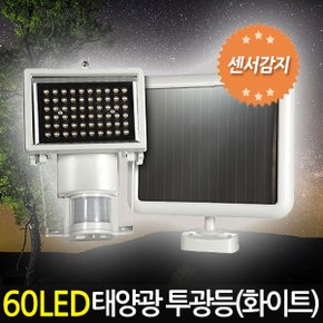 태양광 60LED 투광등 센서감지 화이트 / 태양열 투광기 가로등 정원등 잔디등 전등 야외등 야외조명 센서등 실외등 태양열충전 솔라등 작업등 태양광등 LED