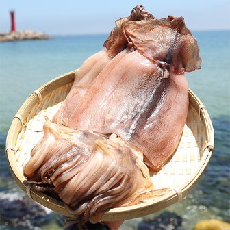 자연맛남 [산지직송] 국내산 반건조오징어 10미(800g내외/고추장+마요네즈+버터 증정)