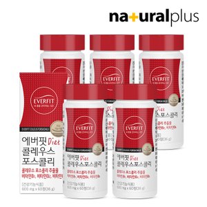 에버핏 콜레우스포스콜리 60정 5병 / 빨간 다이어트 체지방 감소 비타민B