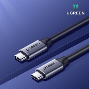 USB 3.1 C to C 케이블 고속충전 1.5m (4k영상출력) US161