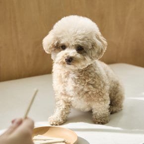 반려동물 강아지 글루코사민 곤약껌