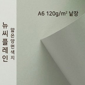 종이문화 뉴씨플레인 얇은 양면색상지 120g A6 No.14 회색 낱장 1매 색지