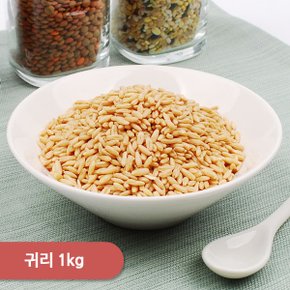 귀리 (호주,캐나다) 1kg