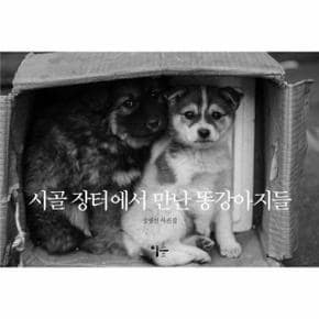 시골 장터에서 만난 똥강아지들 _P351510673