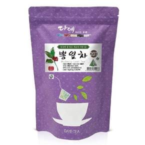 [본사직영] 다예 100% 국산 맛있는 뽕잎차 생분해 삼각 티백 20개입
