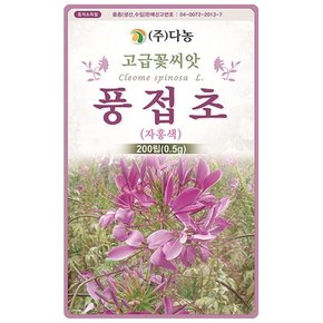 풍접초 자홍색 씨앗 0.5g200립 IA