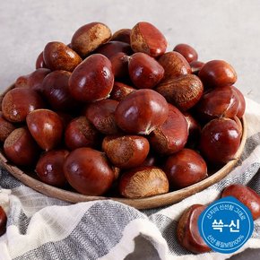 [유명산지] 토실토실 부여 햇 알밤 4kg (대)