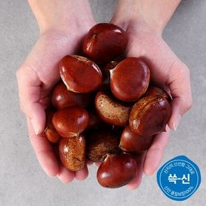 [유명산지] 토실토실 부여 햇 알밤 4kg (대)