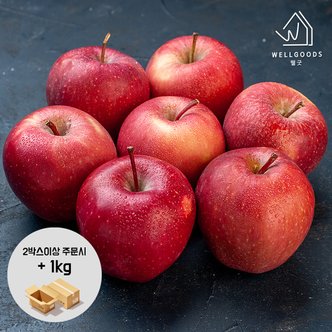 웰굿 [2박스구매+1kg]경북 가정용 사과 2kg(11과내,한입)