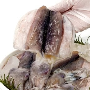 국내산 손질 중 갑오징어 1kg (5-12미 내외)